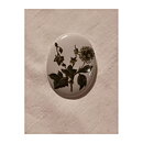Brooch Seltmann Weiden- Flower & Leaves
