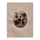 Brooch Seltmann Weiden- Flower & Leaves