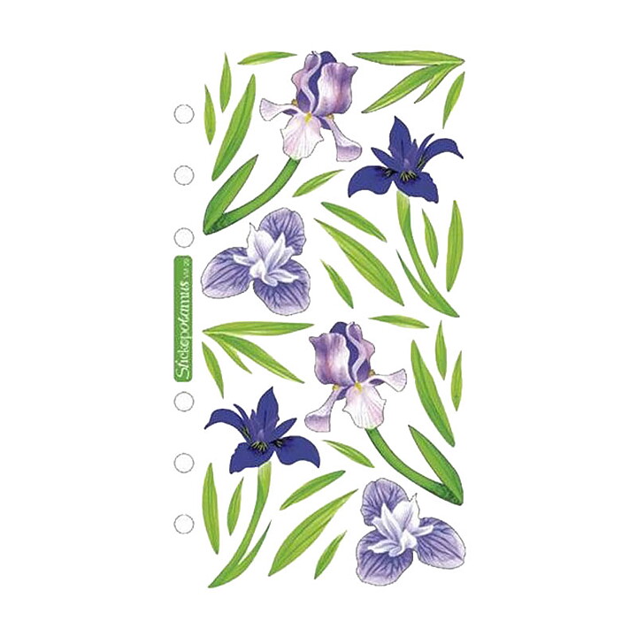 EK Success Sticko Vellum Stickers - Flowers Irises