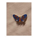 Brooch - Butterfly