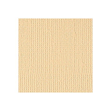 BZ Canvas - Savannah T3-T325