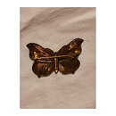 Brooch - Butterfly Vintage