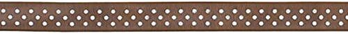 American Crafts Ribbon Ruban Premium - Sheer W/Dots  Coffee W/White