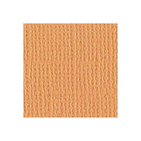 BZ Canvas - Cantaloupe T3-366