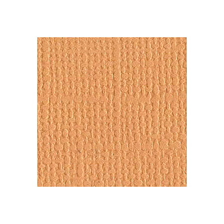 BZ Canvas - Cantaloupe T3-366