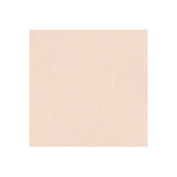 BZ Canvas - Twig T9-942