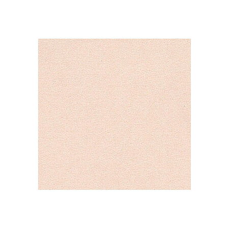 BZ Canvas - Twig T9-942