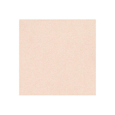 BZ Canvas - Twig T9-942