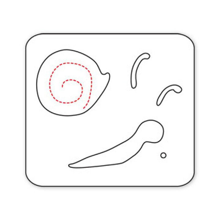 Sizzix Die Sizzlits - Snail #2