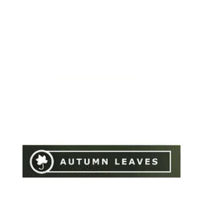 Autumn Leaves Clear Stamps