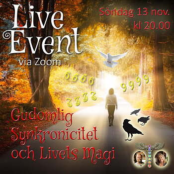 INSPELAT Live Event - Gudomlig synkronicitet & Livets magi