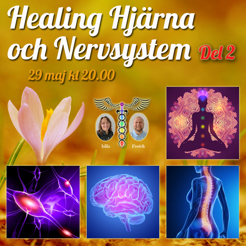 INSPELAT Live Event -  Healing av Hjärna & Nervsystem DEL 2