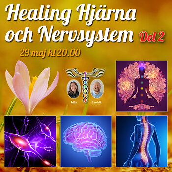 Live Event -  Healing av Hjärna & Nervsystem DEL 2 den 29 maj kl 20.00