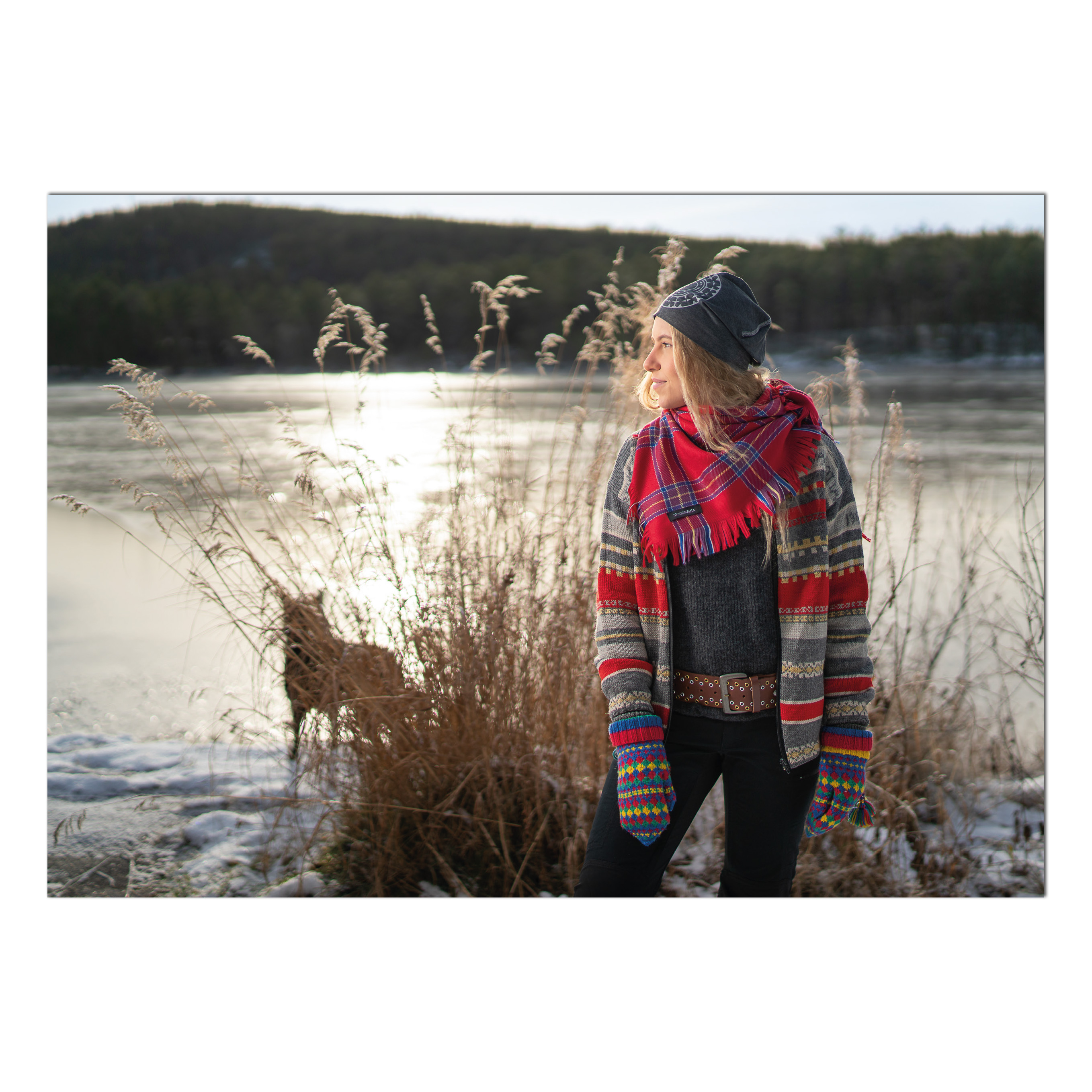 Postcard Zanna and the dog Skájdde at Lake Dálvvadisjávrasj