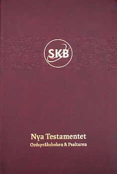 Svenska Kärnbibeln NT+  Konstskinn Brunröd