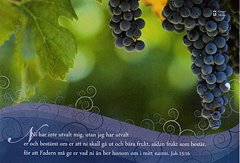 Vykort - Bibelord Johannes 15:16