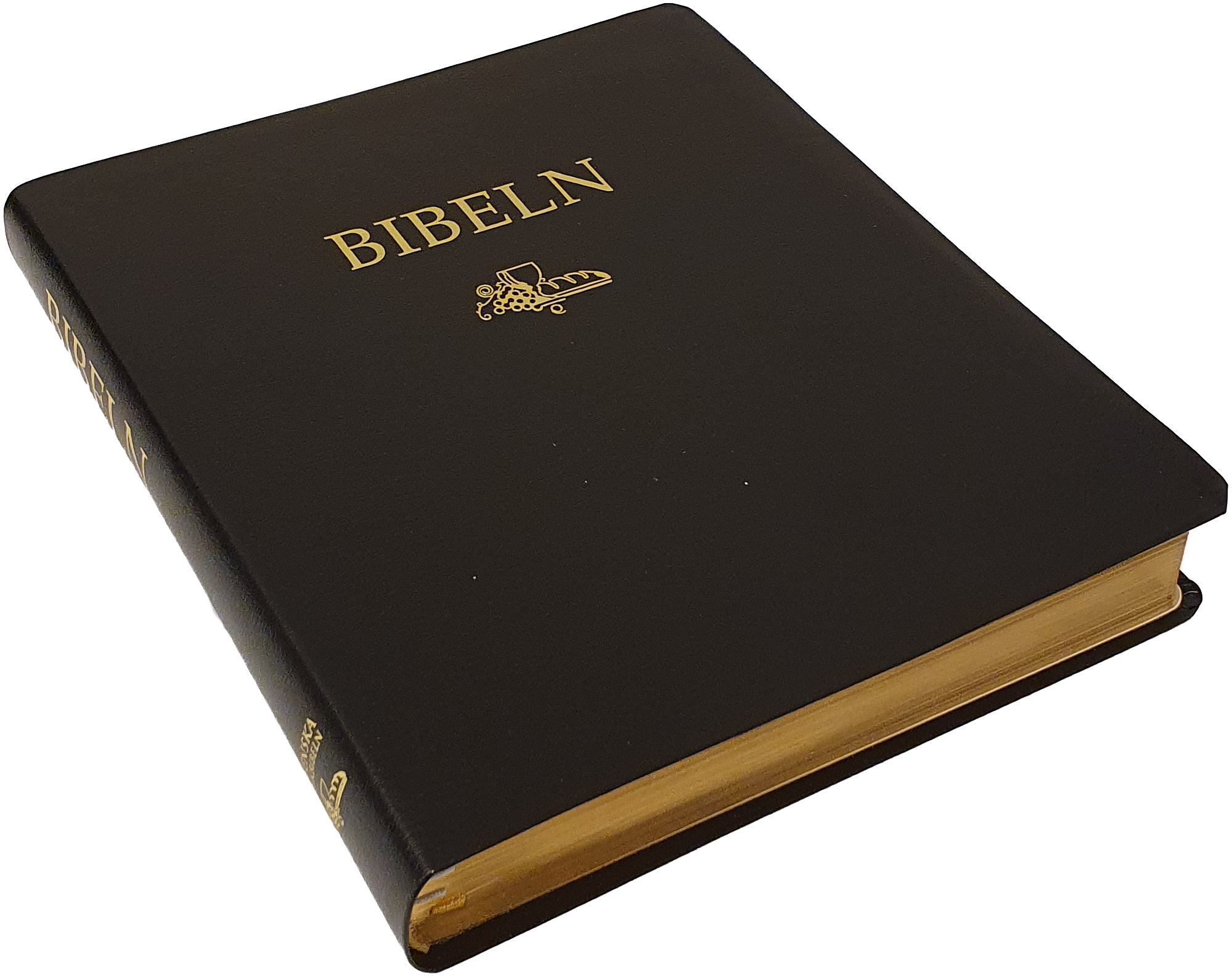 Anteckningsbibel Folkbibeln 2015 - Svart cabra  - 2