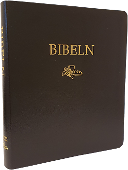 Anteckningsbibel Folkbibeln 2015 - Svart cabra 