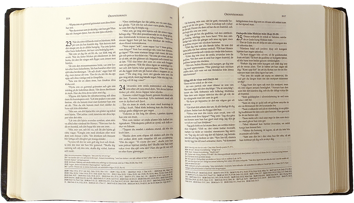 Anteckningsbibel Folkbibeln 2015 - Svart cabra  - 3