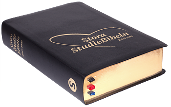 Stora StudieBibeln