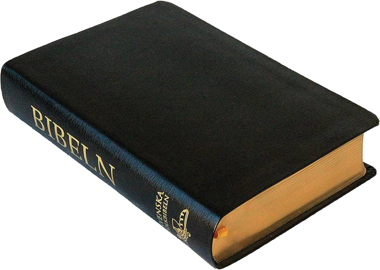 Folkbibeln 2015, mellanformat, svart cabraskinn