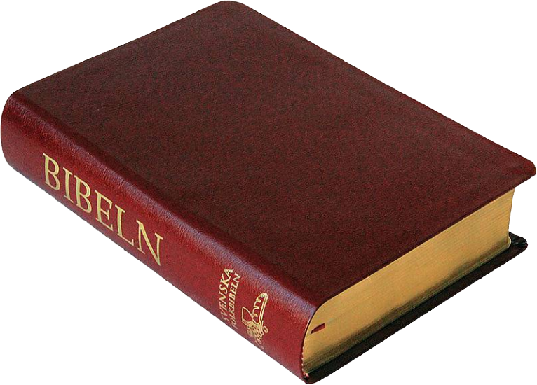 Folkbibeln 2015, mellanformat, röd cabraskinn