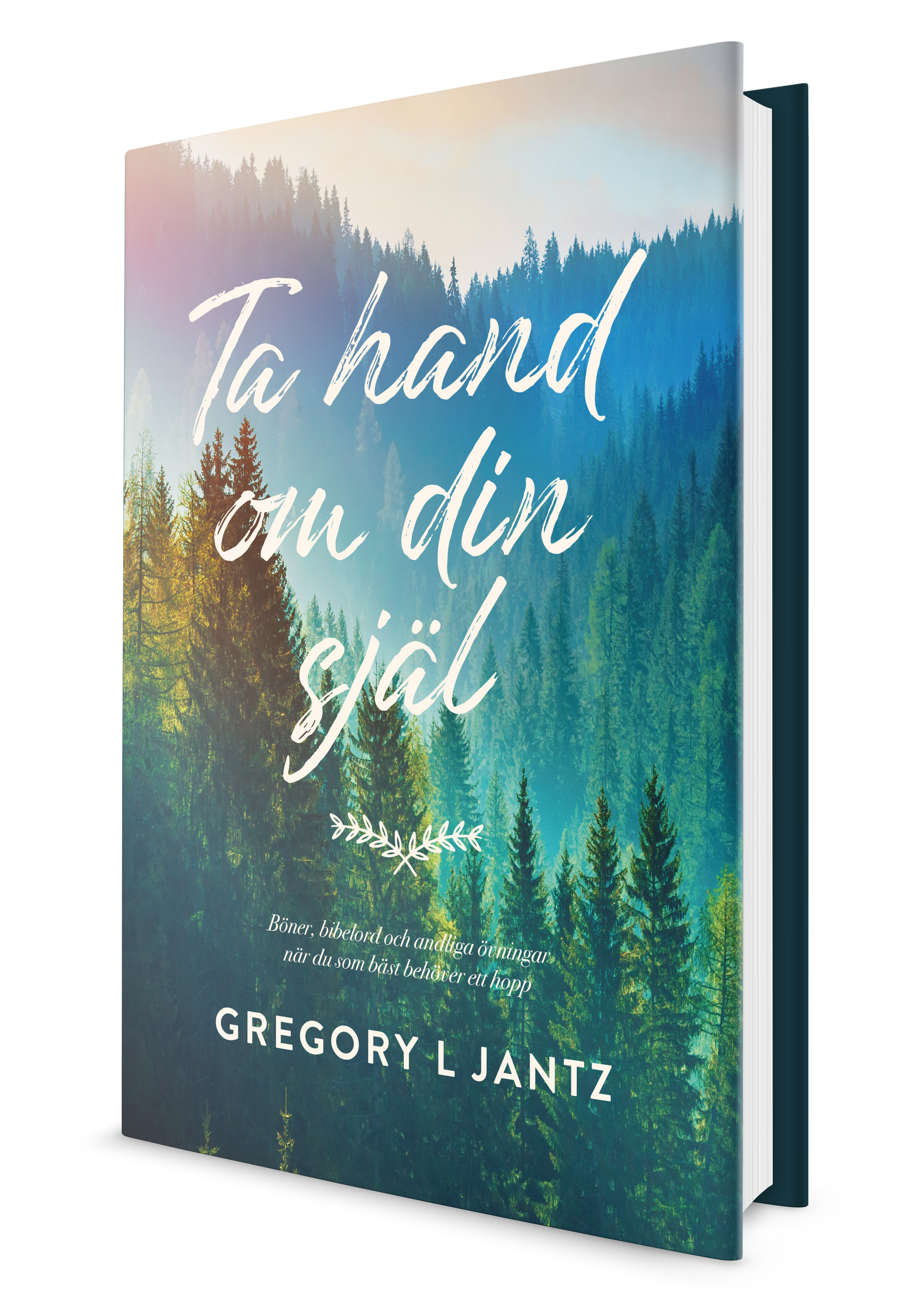 Ta hand om din själ - Gregory L Jantz - 2