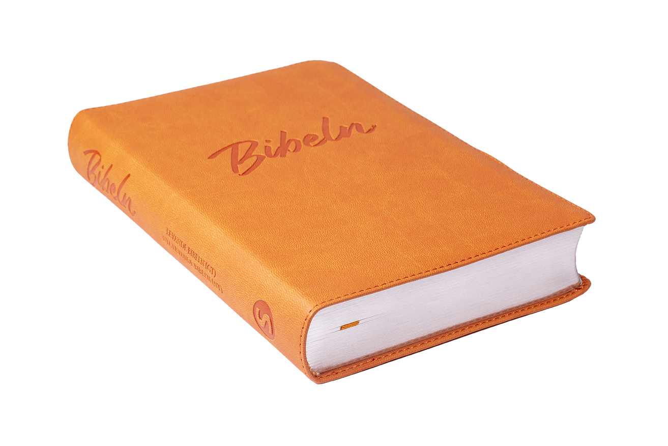 Nya Levande Bibeln 2015 - Konstskinn Orange