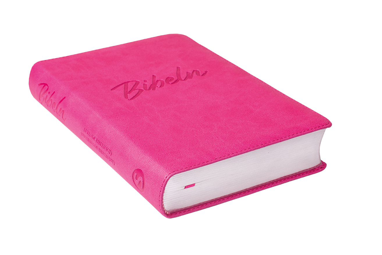 Nya Levande Bibeln 2015 - Konstskinn Rosa