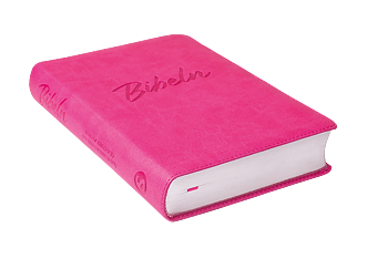 Nya Levande Bibeln 2015 - Konstskinn Rosa