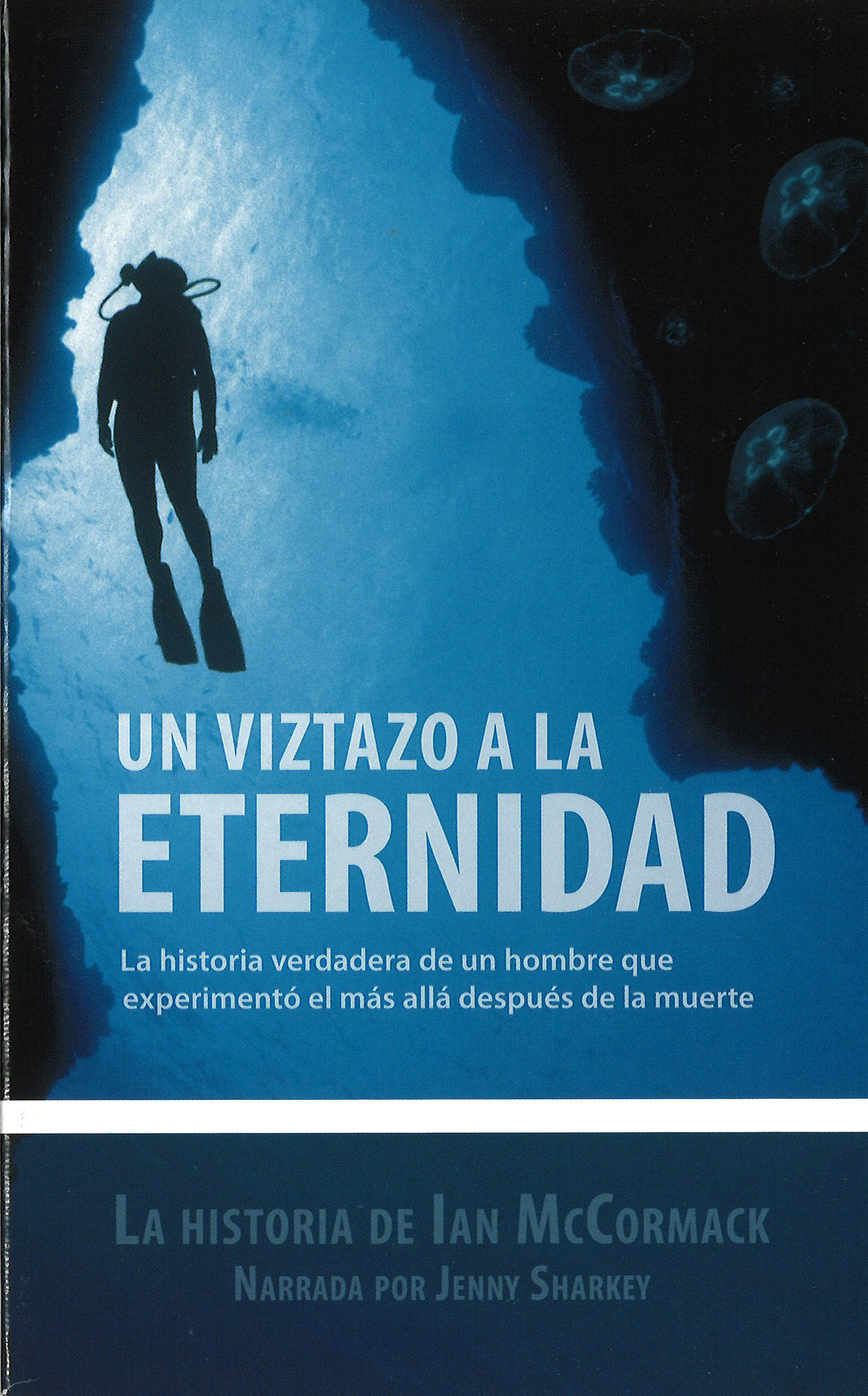 Un viztazo a la eternidad - Ian McCormack