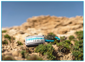 Aquatone SUP leash 9.0 coil - 7