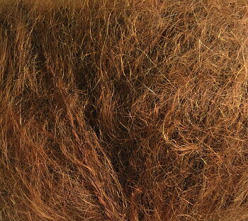 Bella - Brun