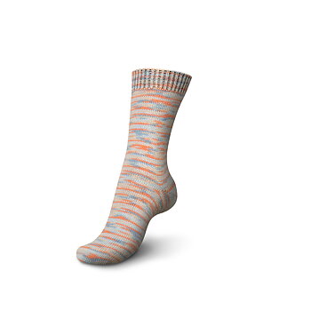 Regia 1258 Froebeli color