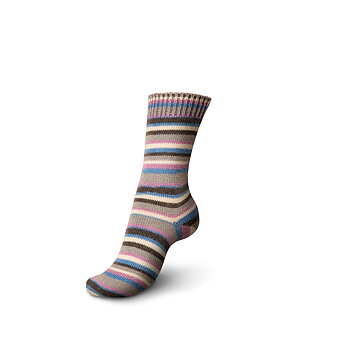 Zebra color 3864