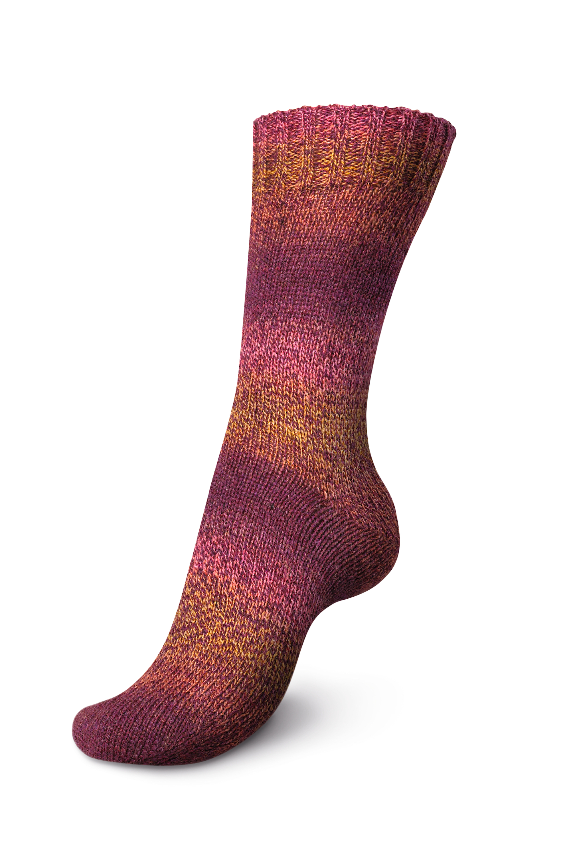 Colour Line - Tulpan 6815
