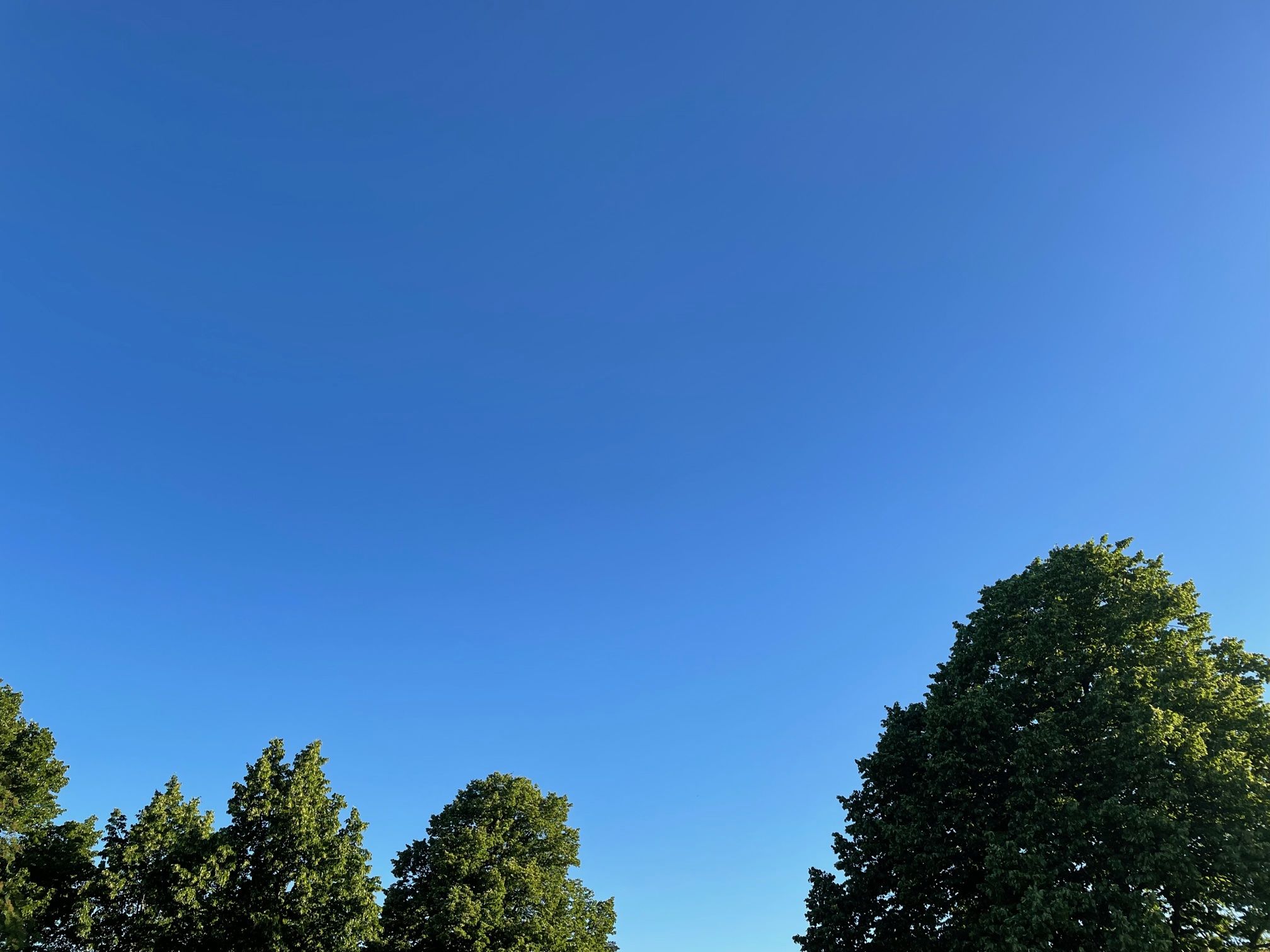 Vi har stängt 14-15 maj. Välkomna åter! 