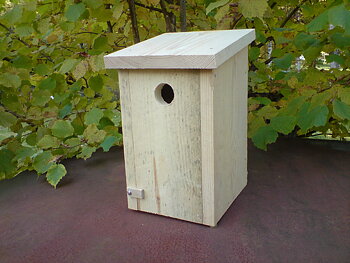 Nötväckaholk