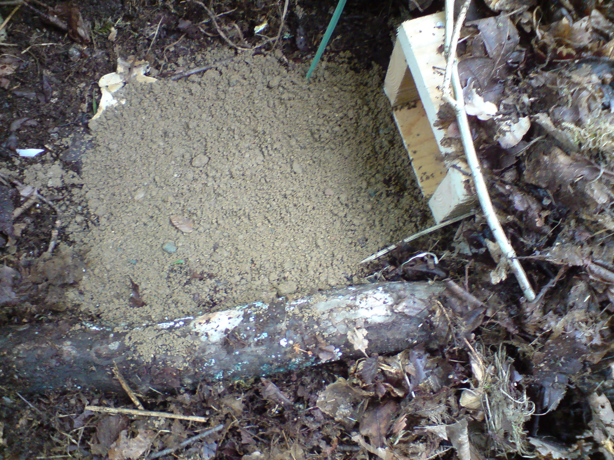 Igelkottebo i byggsats - 4