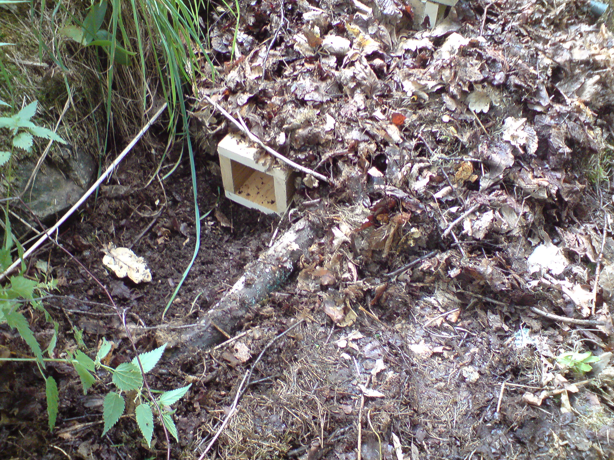 Igelkottebo i byggsats - 3
