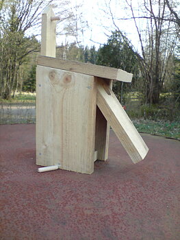 Svartmesholk