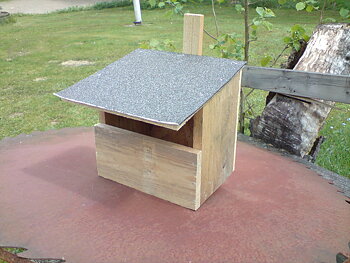 Koltrastholk