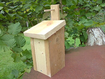 Humleholk