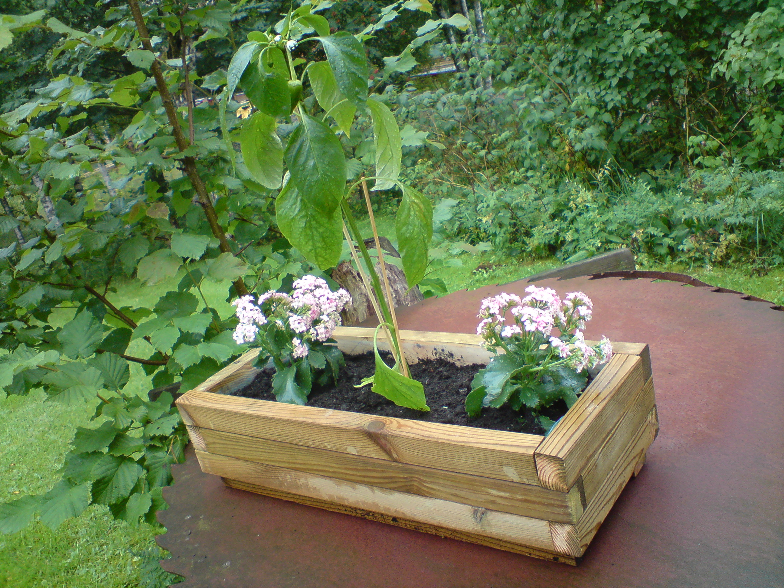 Blomlåda