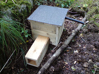 Igelkottebo