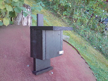 Fladdermusholkar