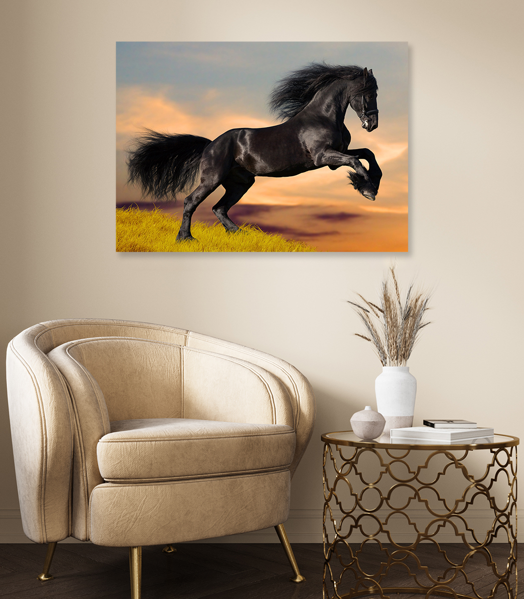 Wall Absorber - Black beauty - Horse 