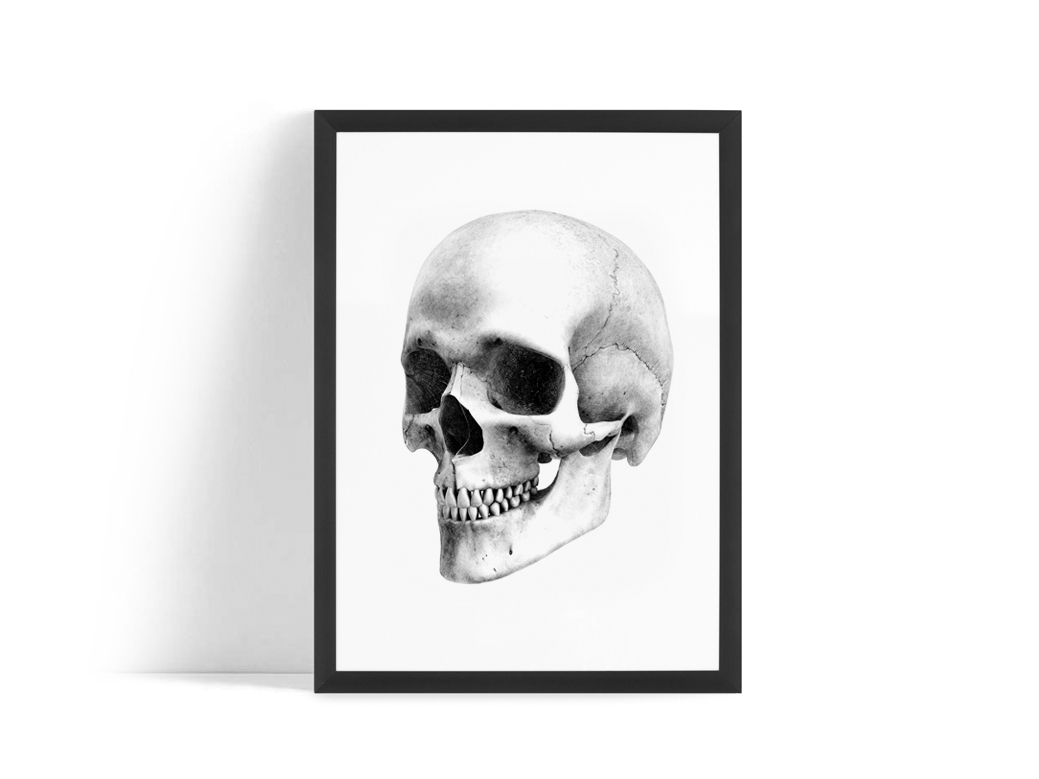 Skull Print