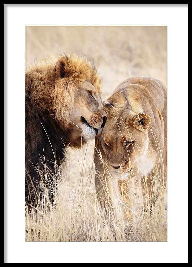 Poster A King Only Bows Down to His Queen