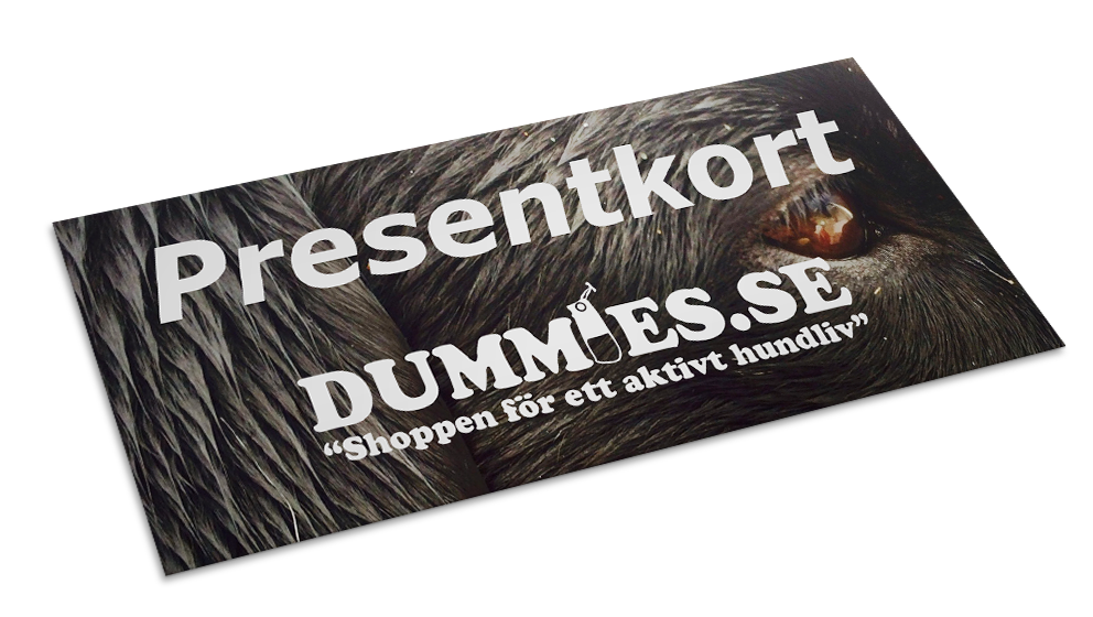 Presentkort 200kr